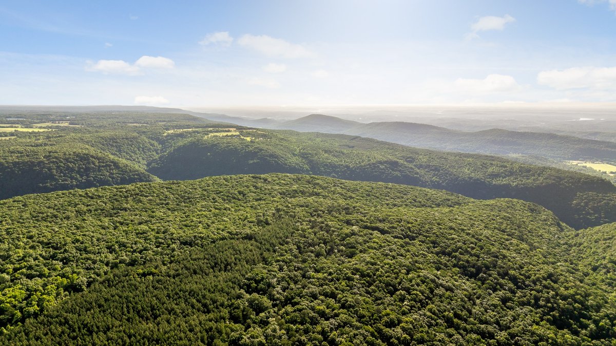Aerial view of forested ridges at Roaring Creek
